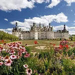 Au Coeur De Blois